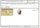 Karteikarte zum Abbildungsoriginal von Cristellaria (Marginulina) lata Reuss, 1863
